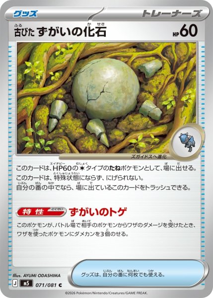 画像1: 古びたずがいの化石【C】〈071/081〉(グッズ) M5 (1)
