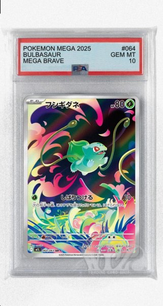 画像1: [PSA10]フシギダネ【AR】〈064/063〉 (1)