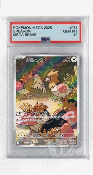 画像1: [PSA10]オニスズメ【AR】〈074/063〉 (1)