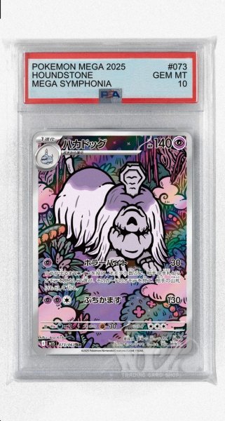 画像1: [PSA10]ハカドッグ【AR】〈073/063〉 (1)