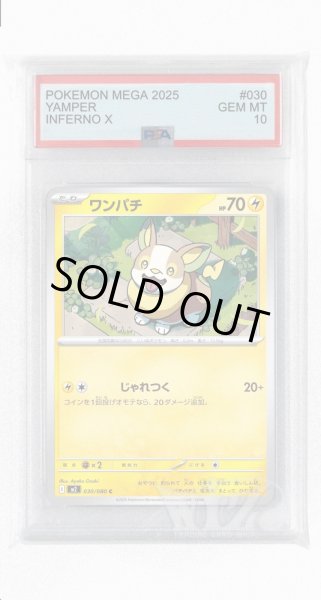 画像1: [PSA10]ワンパチ【C】〈030/080〉 (1)