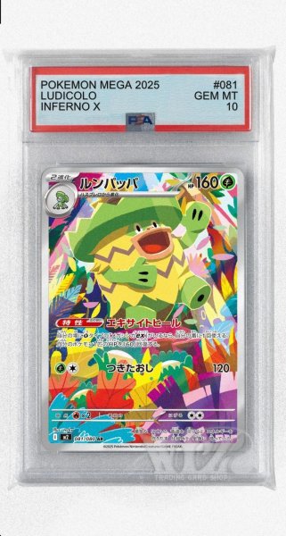 画像1: [PSA10]ルンパッパ【AR】〈081/080〉 (1)