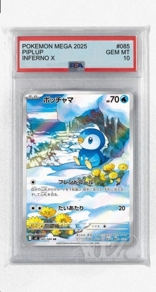画像1: [PSA10]ポッチャマ【AR】〈085/080〉 (1)