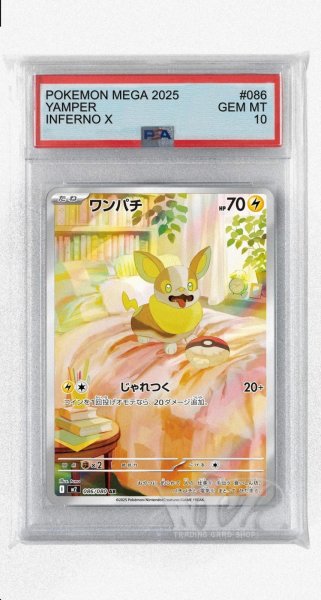 画像1: [PSA10]ワンパチ【AR】〈086/080〉 (1)
