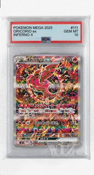 画像1: [PSA10]オドリドリex【SAR】〈111/080〉 (1)
