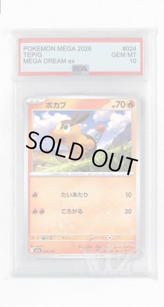 画像1: [PSA10]ポカブ【-】〈024/193〉 (1)