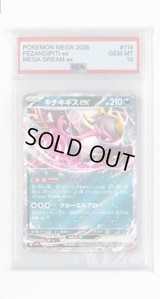 画像1: [PSA10]キチキギスex【RR】〈114/193〉 (1)