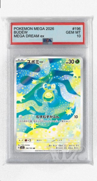 画像1: [PSA10]スボミー【AR】〈196/193〉 (1)