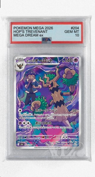 画像1: [PSA10]ホップのオーロット【AR】〈204/193〉 (1)