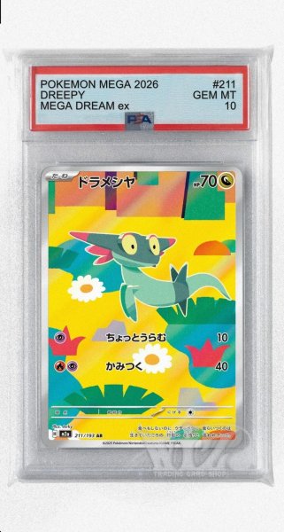 画像1: [PSA10]ドラメシヤ【AR】〈211/193〉 (1)