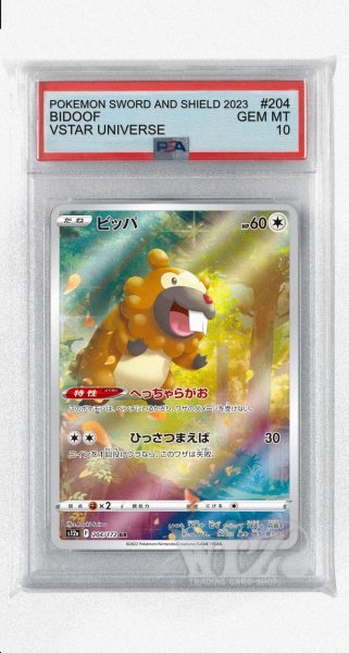 画像1: [PSA10]ビッパ【AR】〈204/172〉(無) (1)