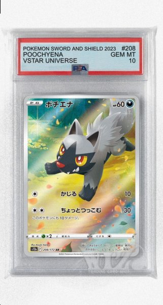 画像1: [PSA10]ポチエナ【AR】〈208/172〉(悪) (1)