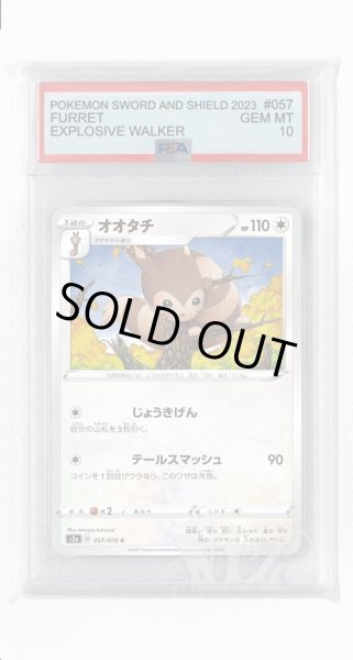 画像1: [PSA10]オオタチ【C】〈057/070〉(無) (1)
