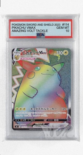 画像1: [PSA10]ピカチュウVMAX【HR】〈114/100〉(雷) (1)