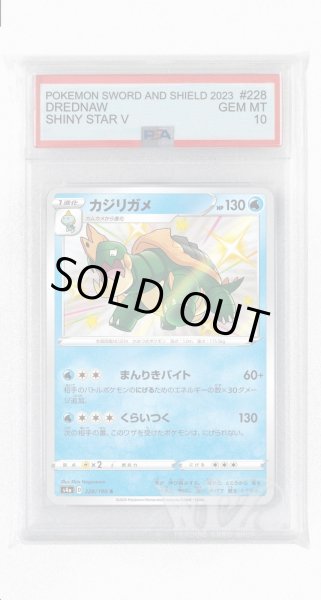 画像1: [PSA10]カジリガメ【S】〈228/190〉(水) (1)