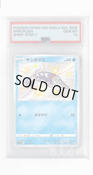 画像1: [PSA10]サシカマス【S】〈230/190〉(水) (1)