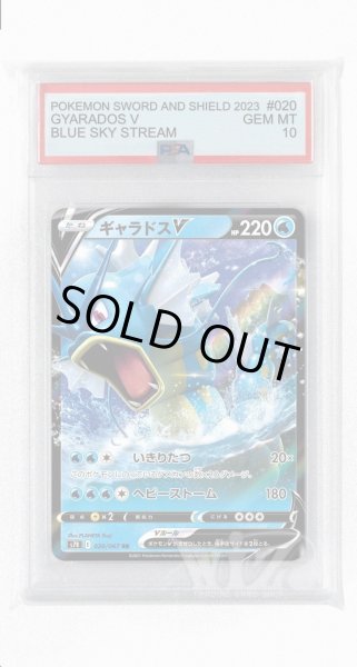 画像1: [PSA10]ギャラドスV【RR】〈020/067〉(水) (1)