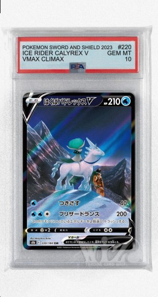 画像1: [PSA10]はくばバドレックスV【CSR】〈220/184〉(水) (1)
