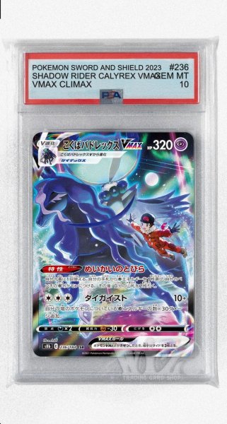 画像1: [PSA10]こくばバドレックスVMAX【CSR】〈236/184〉(超) (1)