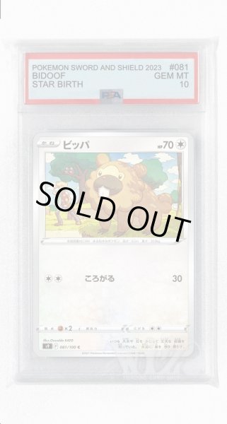 画像1: [PSA10]ビッパ【C】〈081/100〉(無) (1)