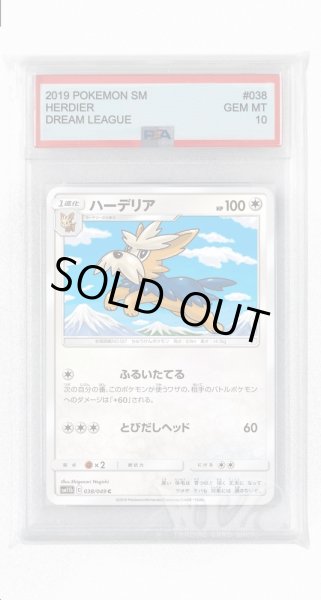 画像1: [PSA10]ハーデリア【C】〈038/049〉(無) (1)