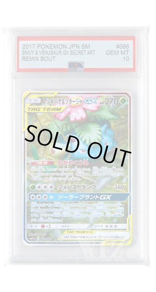 画像1: [PSA10]フシギバナ&ツタージャGX【SR】〈066/064〉(草) (1)