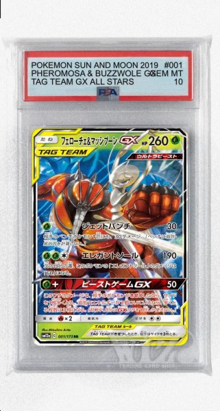 画像1: [PSA10]フェローチェ&マッシブーンGX【RR】〈001/173〉(草) (1)