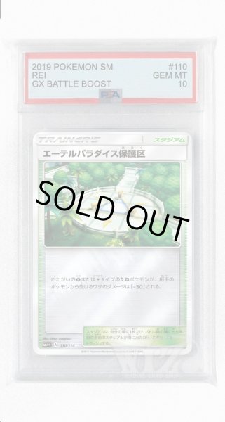 画像1: [PSA10]エーテルパラダイス保護区(ミラー)【-】〈110/114〉(スタジアム) (1)