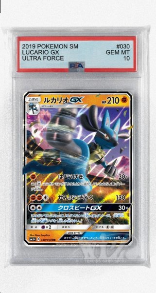画像1: [PSA10]ルカリオGX【RR】〈030/050〉(闘) (1)