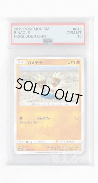 画像1: [PSA10]カメテテ【C】〈043/094〉(闘) (1)