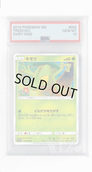 画像1: [PSA10]キモリ【C】〈003/050〉(草) (1)
