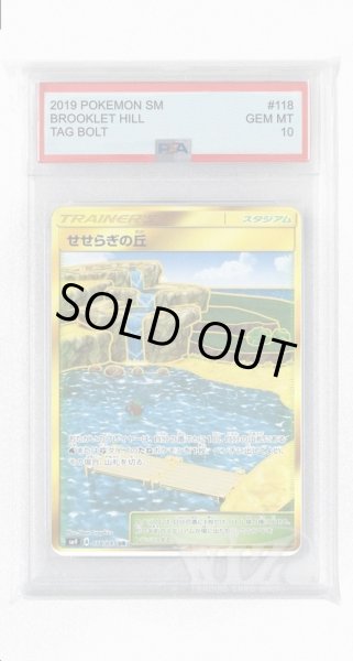 画像1: [PSA10]せせらぎの丘【UR】〈118/095〉(スタジアム) (1)
