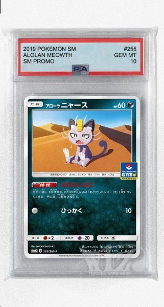 画像1: [PSA10]アローラニャース【PROMO】〈255/SM-P〉(悪) (1)