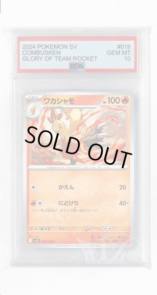 画像1: [PSA10]ワカシャモ【C】〈019/098〉(炎) (1)