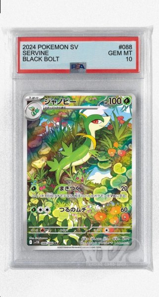 画像1: [PSA10]ジャノビー【AR】〈088/086〉(草) (1)