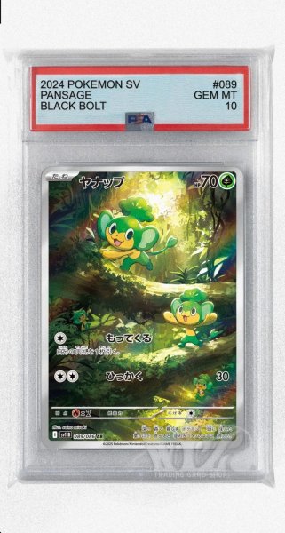 画像1: [PSA10]ヤンアプ【AR】〈089/086〉(草) (1)