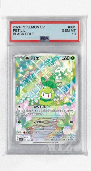 画像1: [PSA10]チュリネ【AR】〈091/086〉(草) (1)