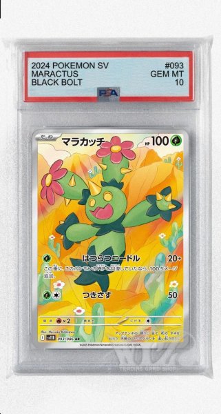 画像1: [PSA10]マラカッチ【AR】〈093/086〉(草) (1)