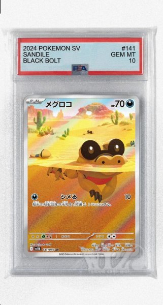 画像1: [PSA10]メグロコ【AR】〈141/086〉(悪) (1)