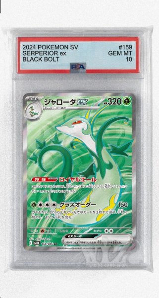 画像1: [PSA10]ジャローダex【SR】〈159/086〉(草) (1)