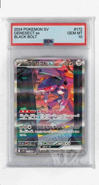 画像1: [PSA10]ゲノセクトex【SAR】〈172/086〉(鋼) (1)