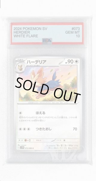 画像1: [PSA10]ハーデリア【C】〈073/086〉(無) (1)