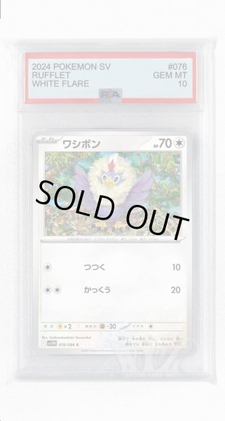 画像1: [PSA10]ワシボン【C】〈076/086〉(無) (1)