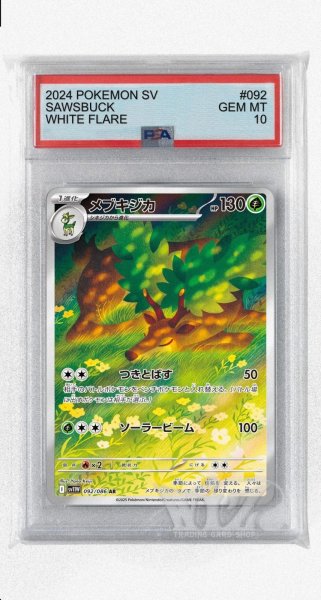 画像1: [PSA10]メブキジカ【AR】〈092/086〉(草) (1)
