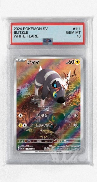 画像1: [PSA10]シママ【AR】〈111/086〉(雷) (1)