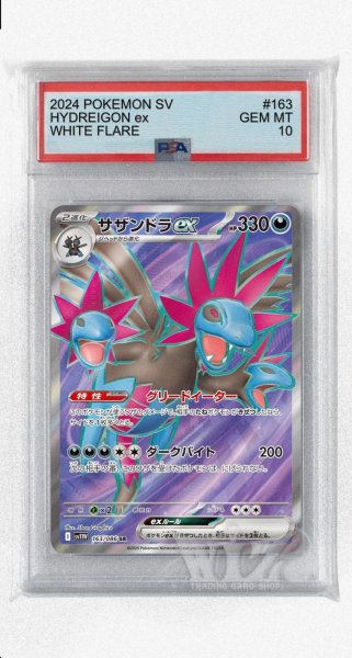 画像1: [PSA10]サザンドラex【SR】〈163/086〉(悪) (1)
