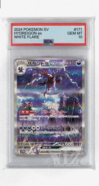 画像1: [PSA10]サザンドラex【SAR】〈171/086〉(悪) (1)