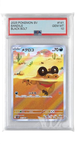 画像1: [PSA10]メグロコ【AR】〈141/086〉(悪) (1)