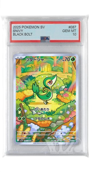 画像1: [PSA10]ツタージャ【AR】〈087/086〉(草) (1)