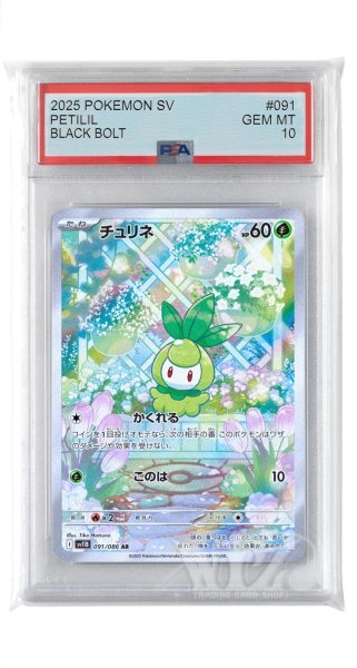 画像1: [PSA10]チュリネ【AR】〈091/086〉(草) (1)